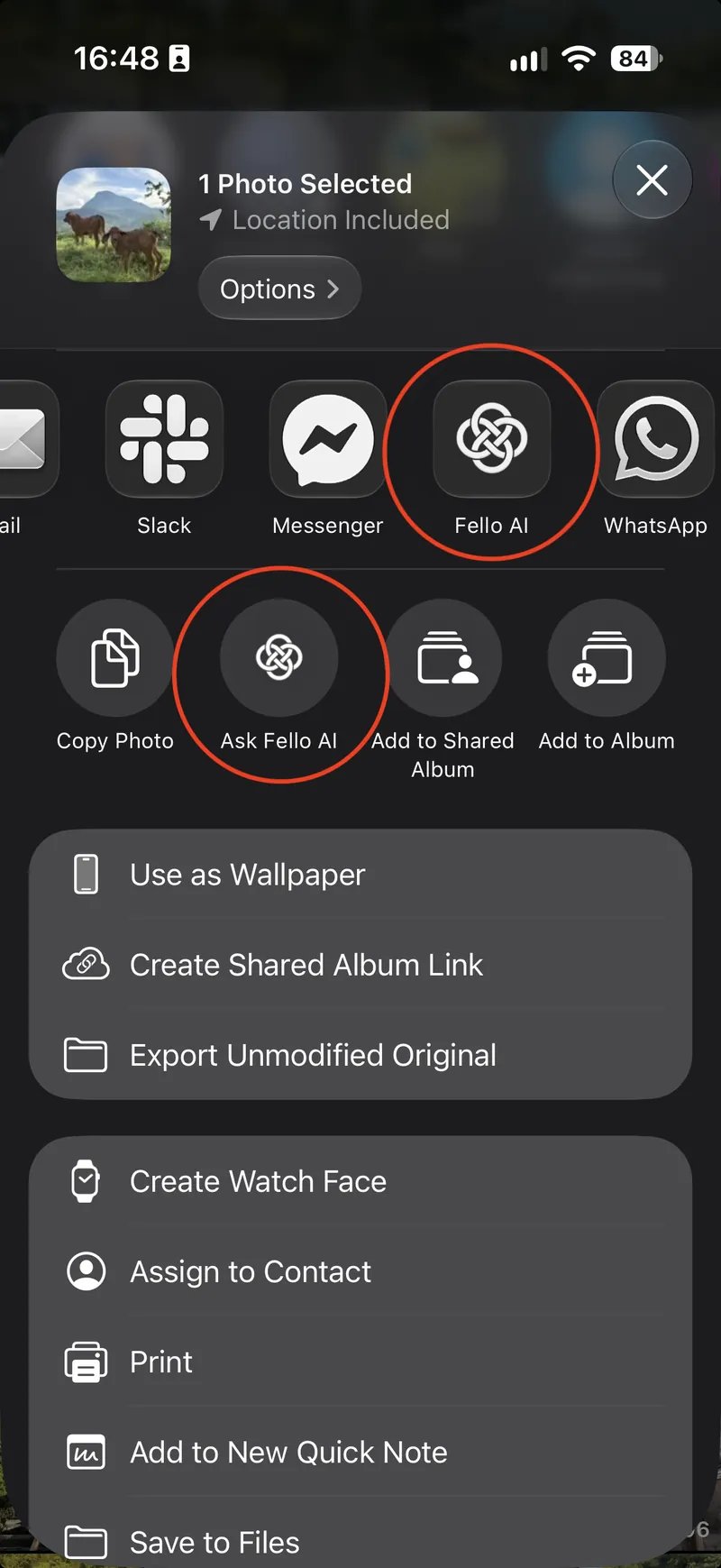 iPhone share sheet for a photo with the Fello AI share extension and the Ask Fello AI action highlighted